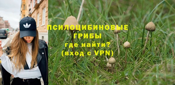бошки Покровск