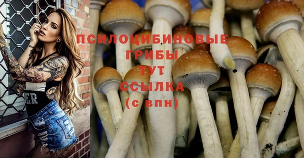 трава Кулебаки