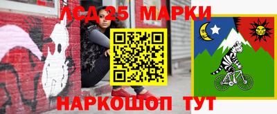 крисы Кингисепп