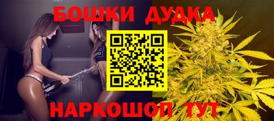 крисы Кингисепп