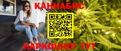 крисы Кингисепп