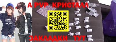 крисы Кингисепп