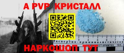 крисы Кингисепп