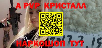 крисы Кингисепп