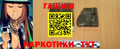 крисы Кингисепп