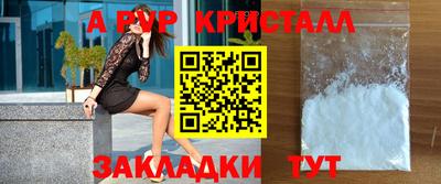 крисы Кингисепп