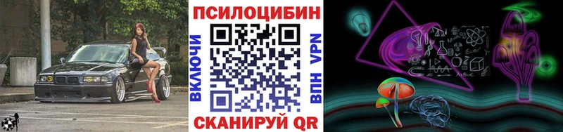 omg вход  как найти закладки  Вологда  Галлюциногенные грибы Psilocybine cubensis 
