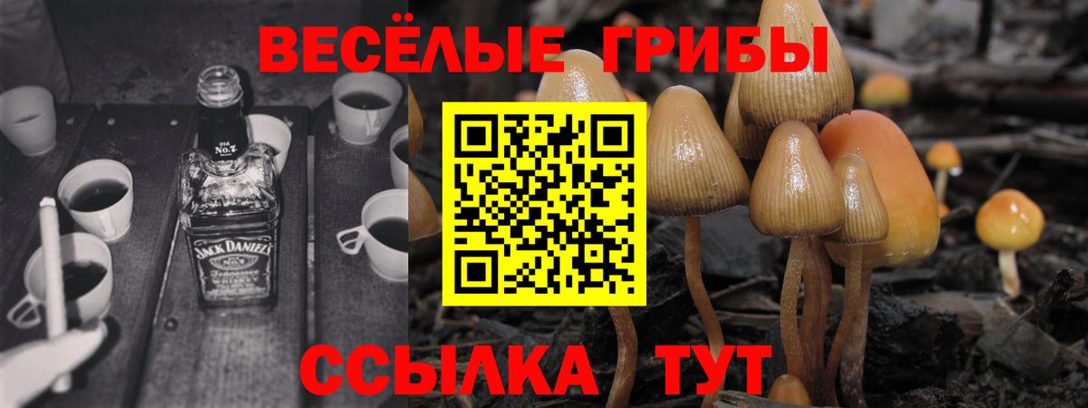 купить наркоту  Вологда  Псилоцибиновые грибы мухоморы 